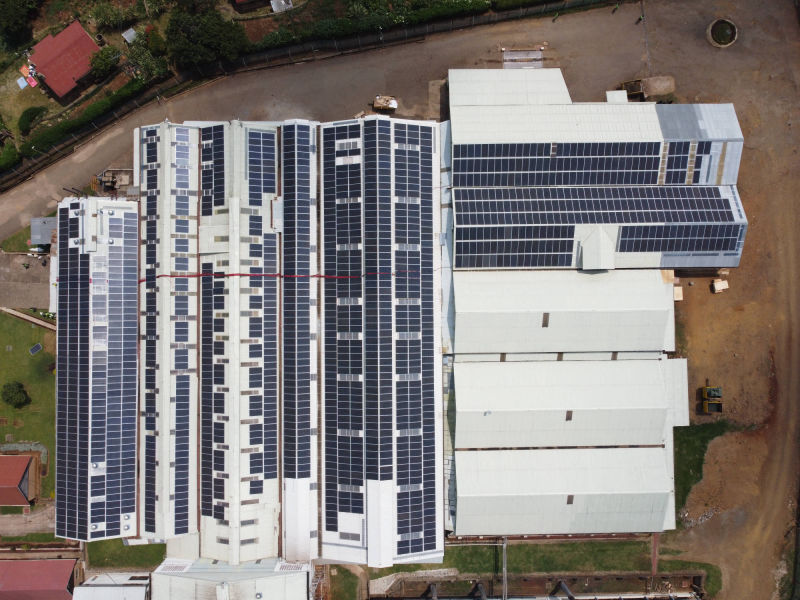 solar power plant at tea estate